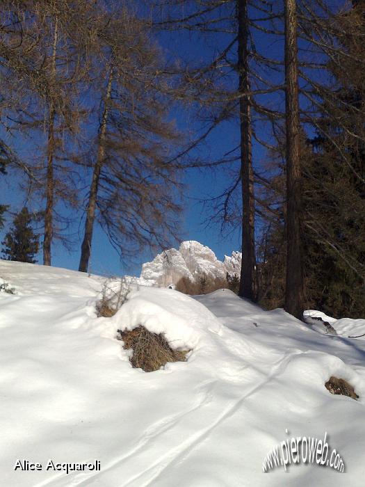 34 Bellissima escursione nel parco naturale del Puez Odle.jpg